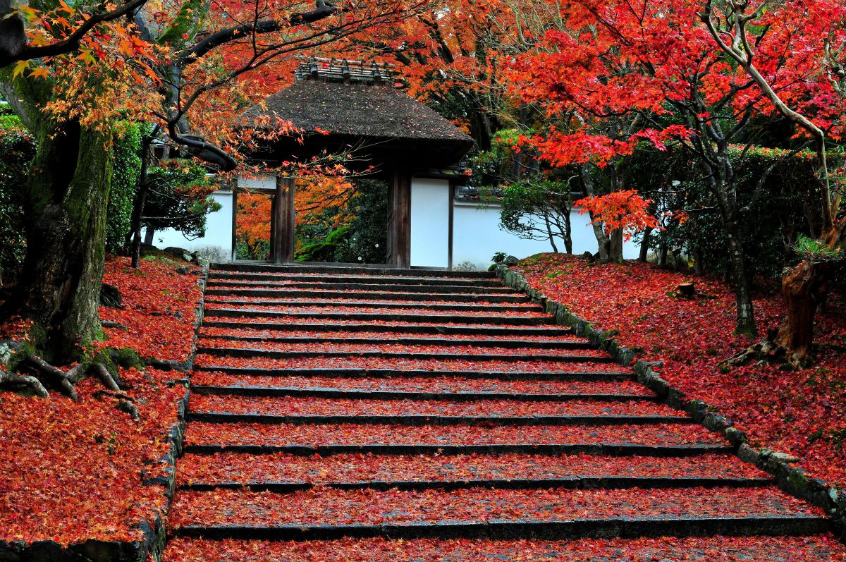京都　安楽寺