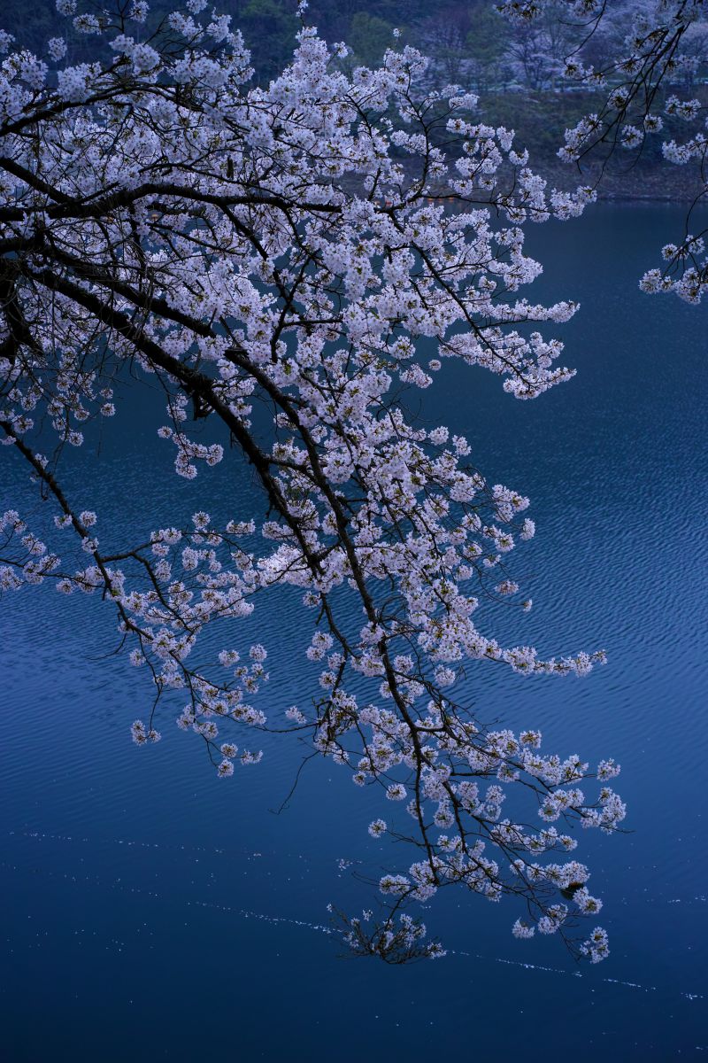 津久井湖（神奈川県）