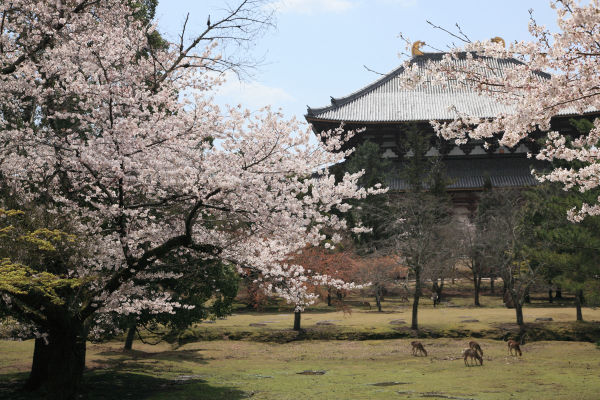 東大寺（奈良県）