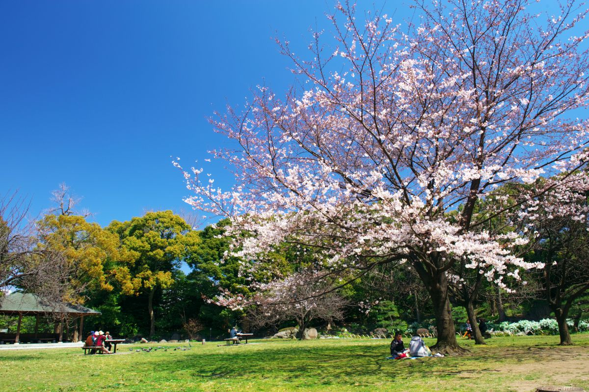 清澄庭園（東京都）