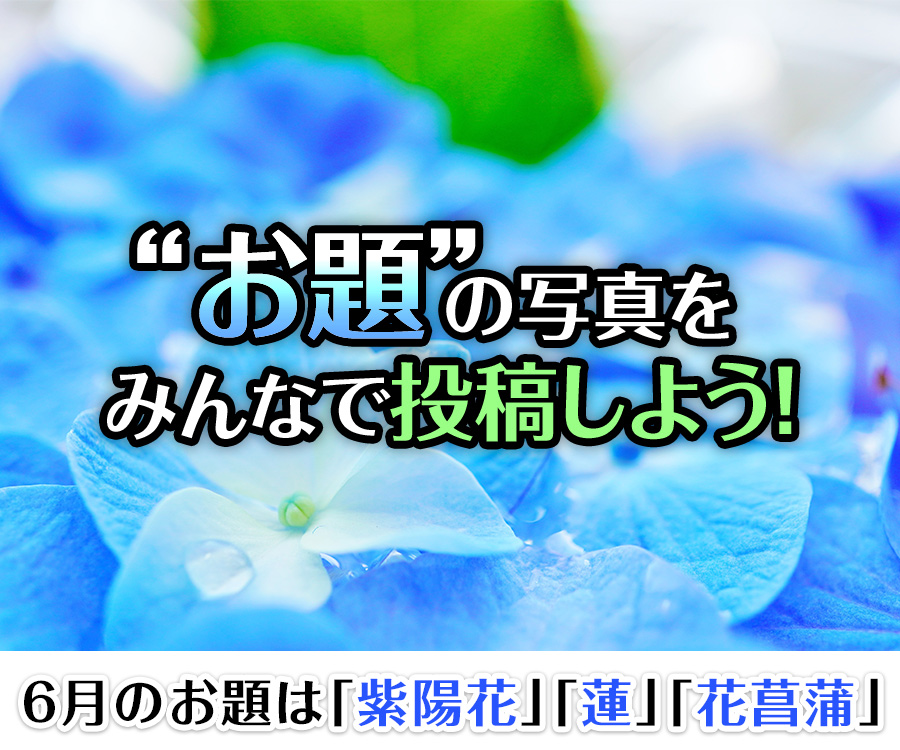 “お題”の写真をみんなで投稿しよう！