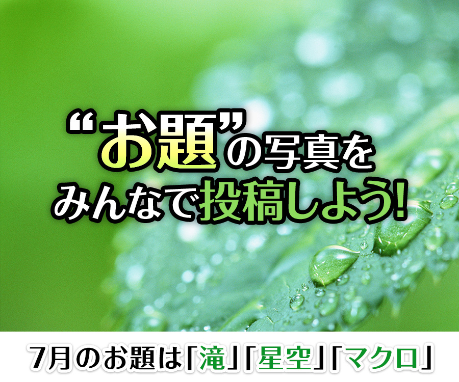 “お題”の写真をみんなで投稿しよう！