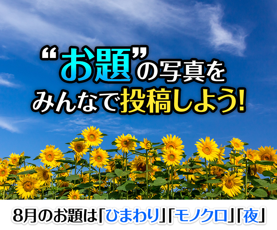 “お題”の写真をみんなで投稿しよう！