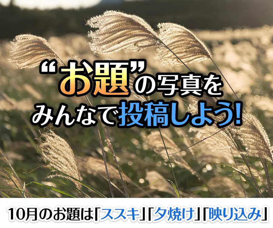 “お題”の写真をみんなで投稿しよう！
