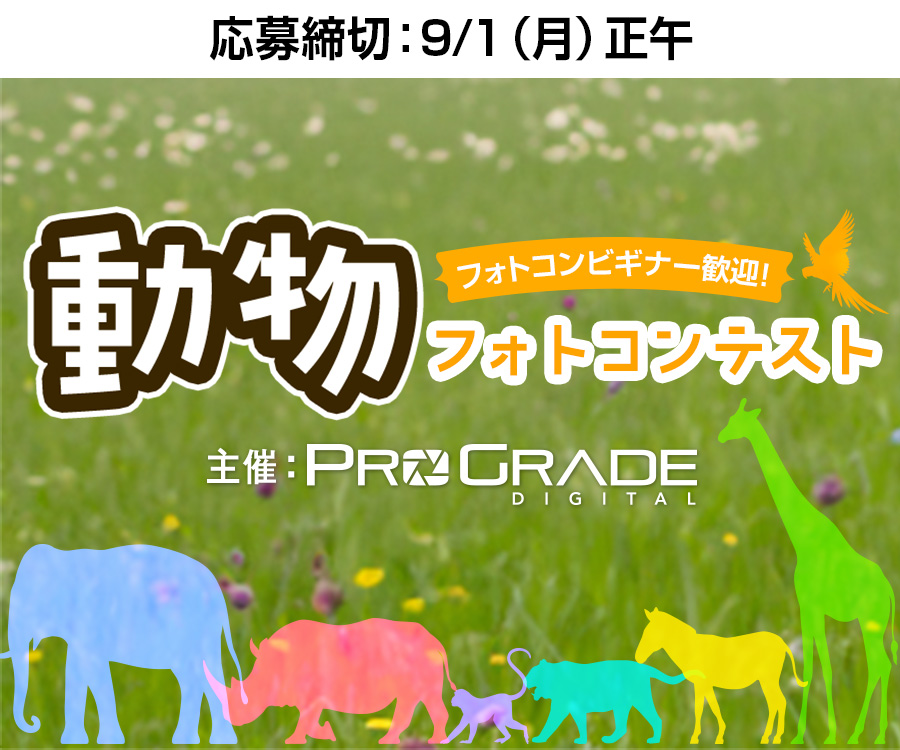 プログレードデジタル・動物フォトコンテスト