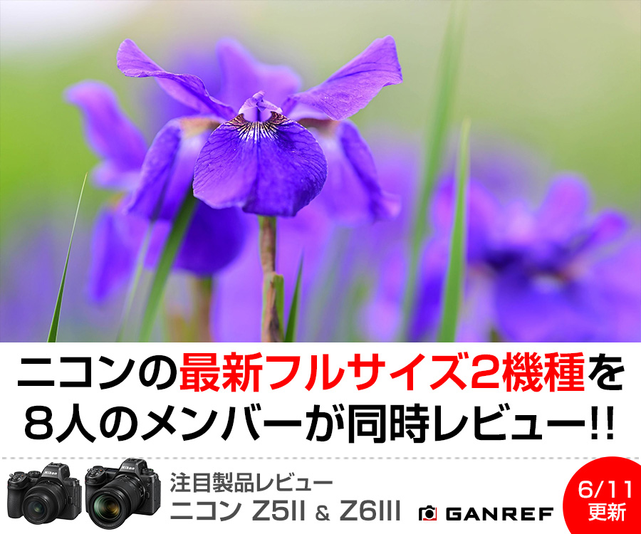 注目製品レビュー ニコン Z5II & Z6III