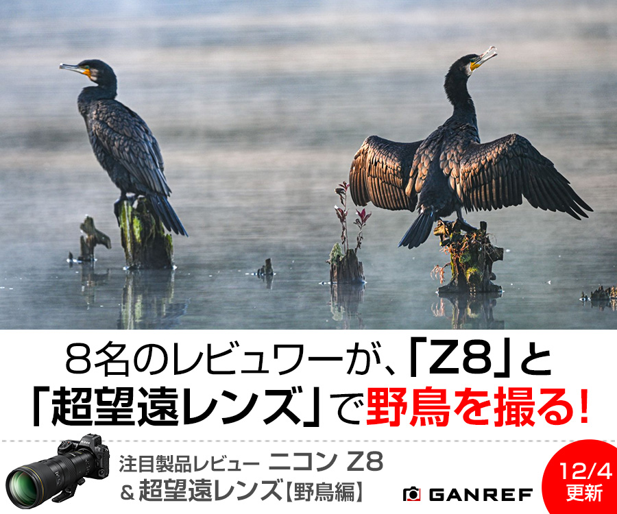 注目製品レビュー ニコン Z8＆超望遠レンズ【野鳥編】