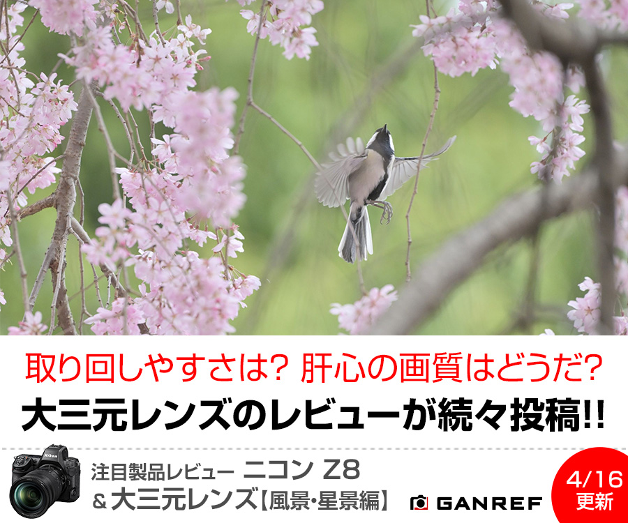 注目製品レビュー ニコン Z8＆大三元レンズ【風景・星景編】
