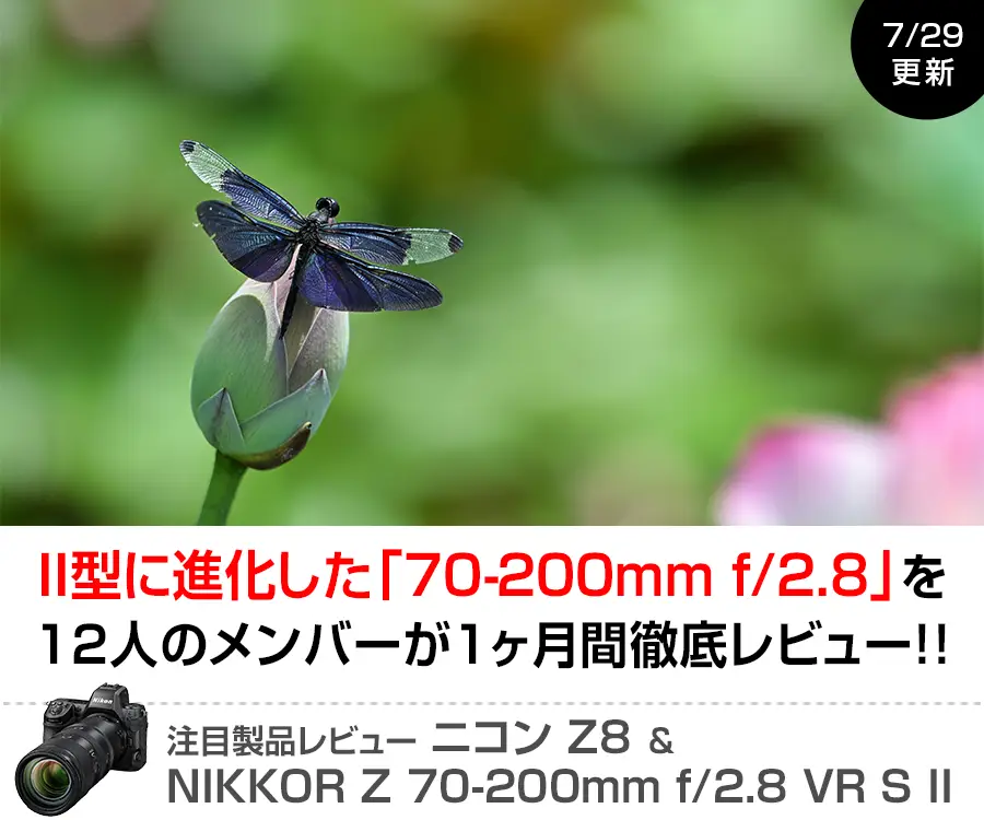 注目製品レビュー ニコンZ8 & NIKKOR Z 70-200mm f/2.8 VR S II