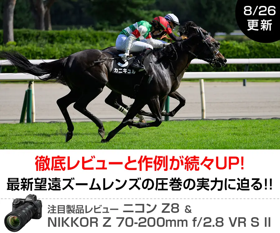 注目製品レビュー ニコンZ8 & NIKKOR Z 70-200mm f/2.8 VR S II