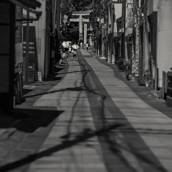 作品