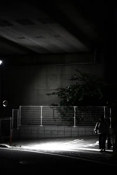 作品
