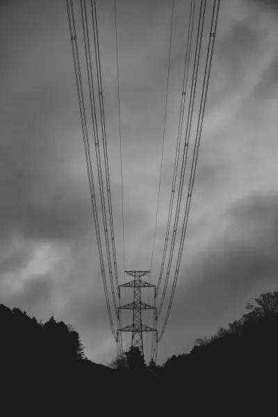 作品