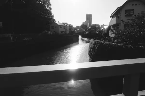 作品