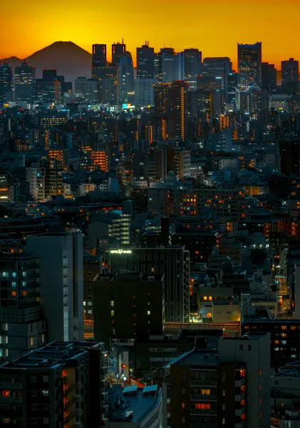作品