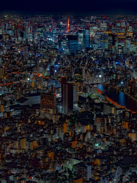作品