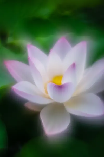作品