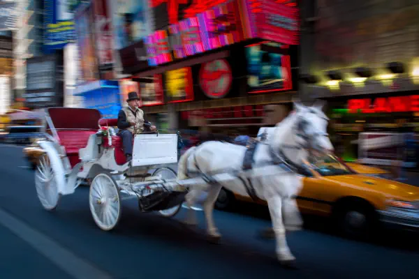 作品