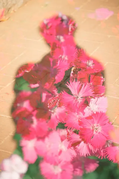 作品