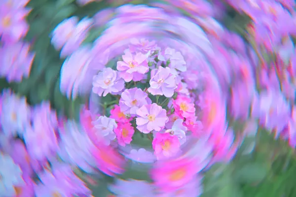 作品
