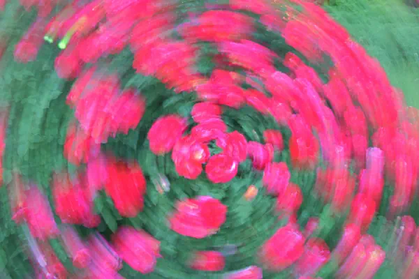 作品