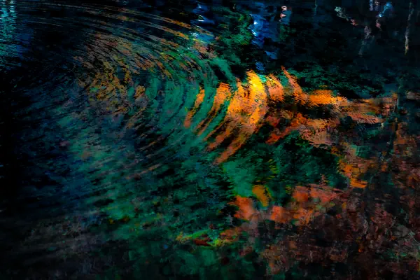 作品