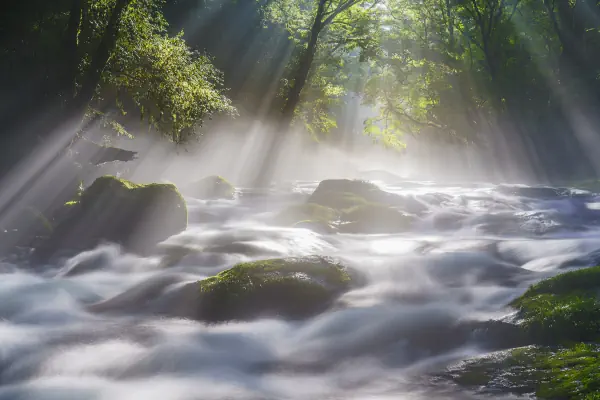 作品
