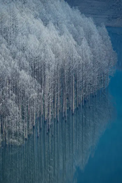 作品