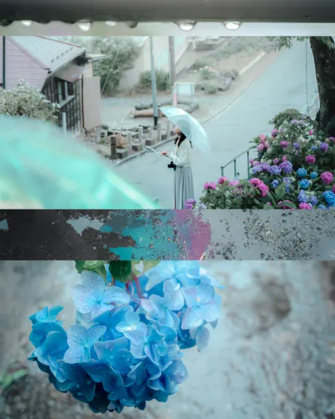 作品