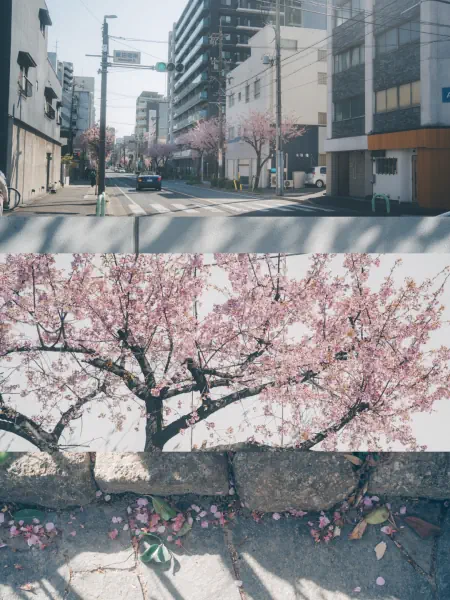作品