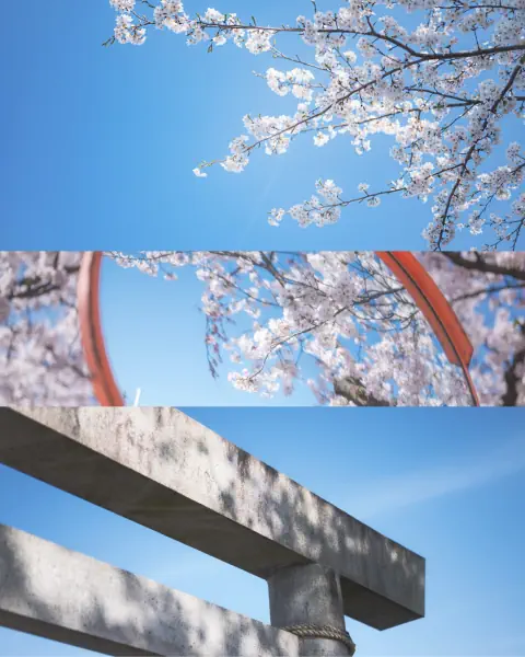 作品