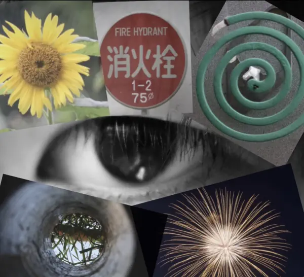 作品