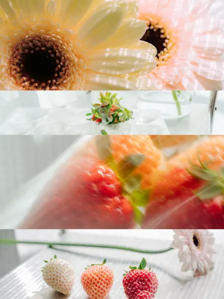 作品