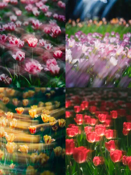作品