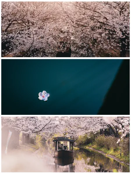 作品
