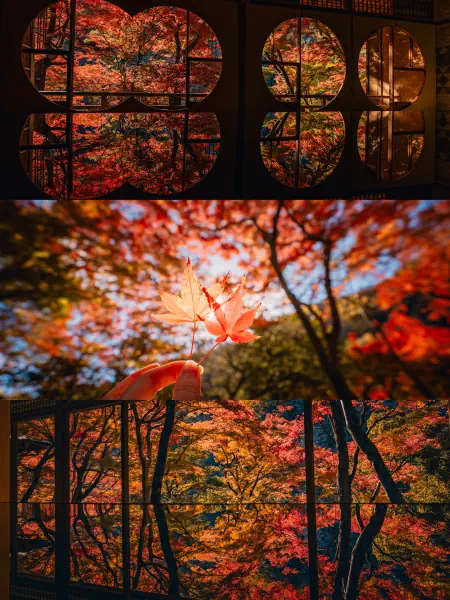 作品