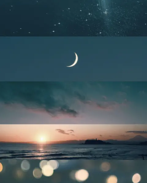 作品