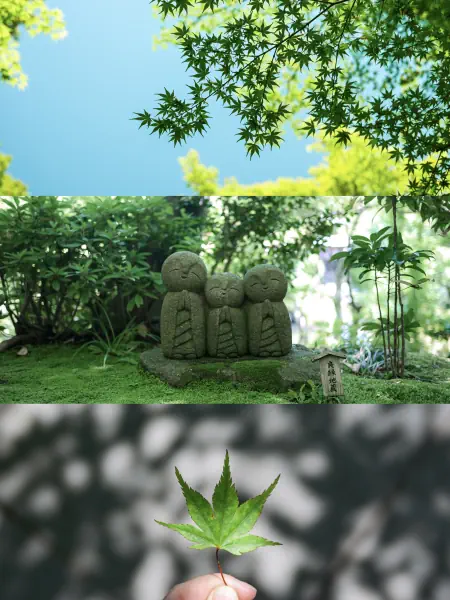 作品