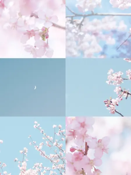 作品