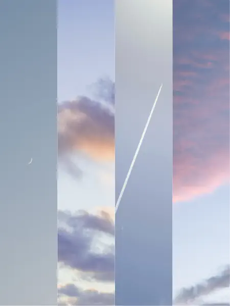 作品