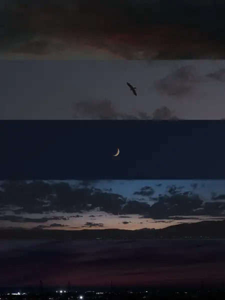 作品