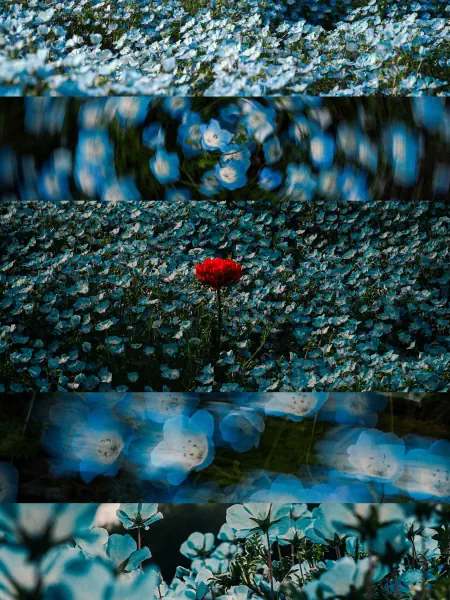 作品