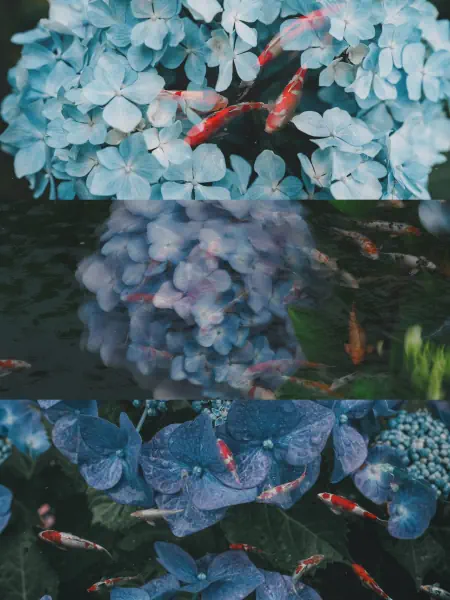 作品