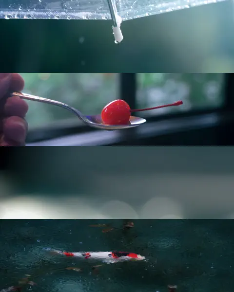作品
