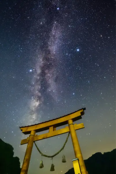 作品