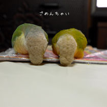 635EA1D0-EFC5-4F5F-AD86-823E0AB4684D.jpe