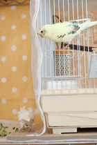 隠れて独り占めはダメだよ