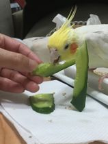 大好物！