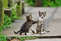 隙あり。