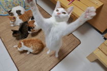 にゃき～ん
